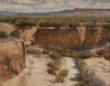 Arid American Landscape