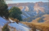 Pinon And Snow